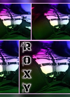 Busty Mistress Roxy - Kinky Dominatrix - Dominadora in Johannesburg Photo 29 of 29
