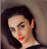 Butterfly🦋 - Transsexual escort in Beirut