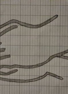 Butterfly🦋 - Transsexual escort in Beirut Photo 25 of 27