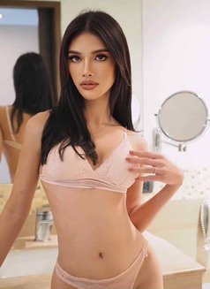 Bx6 Fans (Ladyboy Edittion) - Agencia de acompañantes transexuales in Bangkok Photo 1 of 16