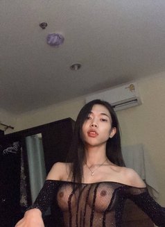 Bx6 Fans (Ladyboy Edittion) - Agencia de acompañantes transexuales in Bangkok Photo 5 of 16