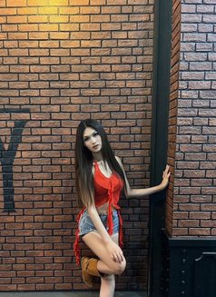 Bx6 Fans (Ladyboy Edittion) - Agencia de acompañantes transexuales in Bangkok Photo 12 of 16