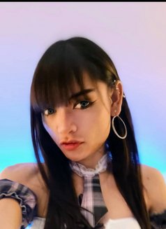 Bx6 Fans (Ladyboy Edittion) - Agencia de acompañantes transexuales in Bangkok Photo 14 of 16