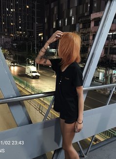 Bx6 Fans - escort agency in Bangkok Photo 1 of 1