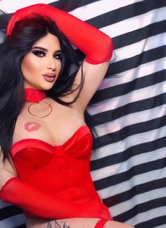 Bya3et lhlib - Acompañantes transexual in Beirut Photo 1 of 25