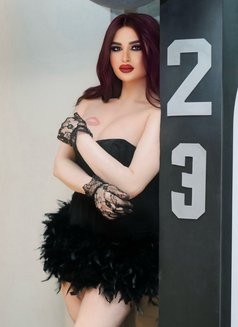 Bya3et lhlib - Transsexual escort in Beirut Photo 29 of 30