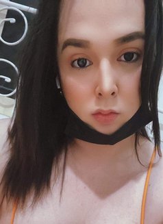 Ladyboy Kia - Transsexual escort in Riyadh Photo 1 of 6