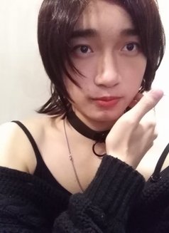 C. C - Transsexual escort in Shenzhen Photo 1 of 7
