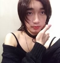 C. C - Transsexual escort in Shenzhen