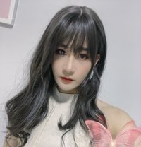 CD18CM - Transsexual escort in Guangzhou