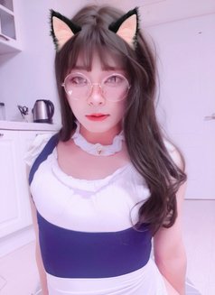 Sexy Korean Femboy CD Sujin – SNS Star♥ - masseuse in Seoul Photo 2 of 16