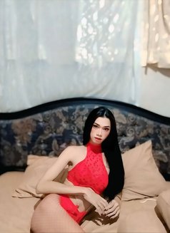 BabyCaca Ts Top Bali - Acompañantes transexual in Bali Photo 21 of 22