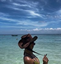 Cacil - Transsexual escort in Bali