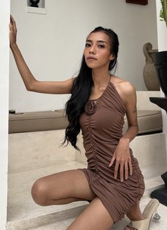 Calista In Bali GFE - puta in Bali Photo 9 of 14