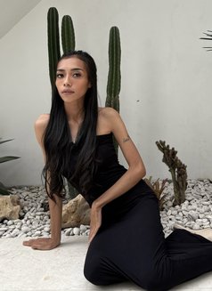 Calista In Bali GFE - puta in Bali Photo 11 of 14