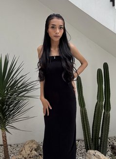 Calista In Bali GFE - puta in Bali Photo 12 of 14