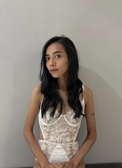 CALISTA PETITE IN SEMINYAK - escort in Bali Photo 25 of 28