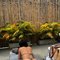 Call Me Cc - escort in Bangkok