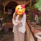 Call & Wathsap 98174m64228 Am Ananya Escor - puta in Chandigarh