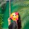Cam and Real Meet (independent) - escort in Hyderabad Photo 3 of 4