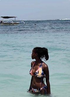 Cam - escort in Bali Photo 3 of 6