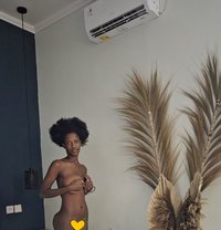 Cam - puta in Bali