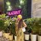 🥀CAM ❣️SEX CHAT & MEET 🥀 - puta in Pune Photo 2 of 4