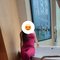 INDEPENDENT CORPORATE GIRL 🫦REAL & CAM - escort in Kolkata Photo 3 of 20