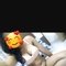 🦋Cam Show and Real Meet🦋 - escort in Chennai Photo 2 of 5