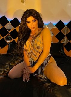 (Cam Show & Sell Videos) IN DUBAI NOW ! - Acompañantes transexual in Jeddah Photo 10 of 22