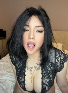 CAM SHOW ONLY ! LETS CUM TOGETHER ! - Acompañantes transexual in Kuwait Photo 22 of 26
