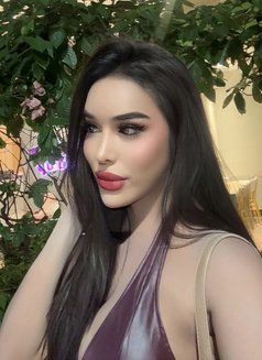 Cam Show Sell Content & Meet - Acompañantes transexual in Manila Photo 28 of 30