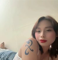 Camellia Ladyboy Philippines 🇵🇭 - Transsexual escort in Abu Dhabi
