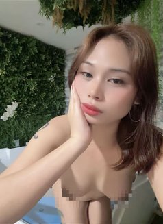 Camellia ladyboy from Philippines 🇵🇭 - Transsexual escort in Abu Dhabi Photo 9 of 9