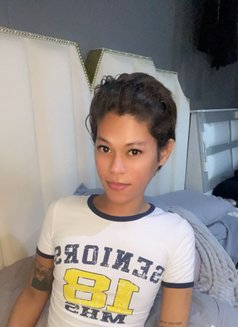Camia - Transsexual escort in Dammam Photo 2 of 5