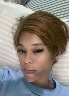 Camia - Transsexual escort in Dammam Photo 4 of 5