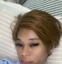 Camia - Transsexual escort in Dammam