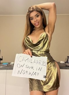 Camila Ariel - Acompañantes transexual in Paris Photo 2 of 25