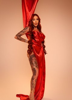 Camila Queiroz Ts Big Dick Brazilian - Transsexual escort in Dubai Photo 4 of 25
