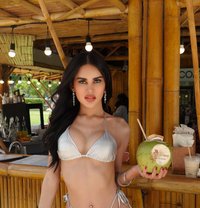 Camila - Acompañantes transexual in Phuket