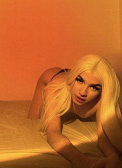 Camila - Acompañantes transexual in Lausanne Photo 5 of 8
