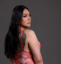 CAMILIA Hot 69 - Transsexual escort in Abu Dhabi