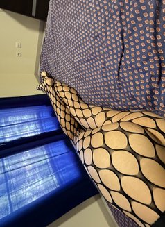 Camilla C - Transsexual escort in Funchal, Madeira Photo 2 of 11