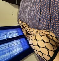 Camilla C - Acompañantes transexual in Funchal, Madeira