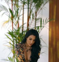 Camilla - Transsexual escort in Baku Photo 15 of 22