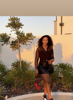 Camille - Acompañantes transexual in Cape Town Photo 16 of 17