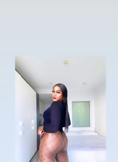 Camille - Transsexual escort in Cape Town Photo 21 of 27