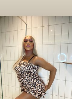 Camille - Transsexual escort in Cape Town Photo 26 of 27