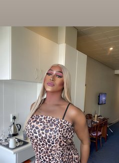 Camille - Transsexual escort in Cape Town Photo 27 of 27