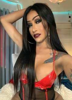 CAMSHOW 8inchesCock - Transsexual dominatrix in Manila Photo 26 of 28